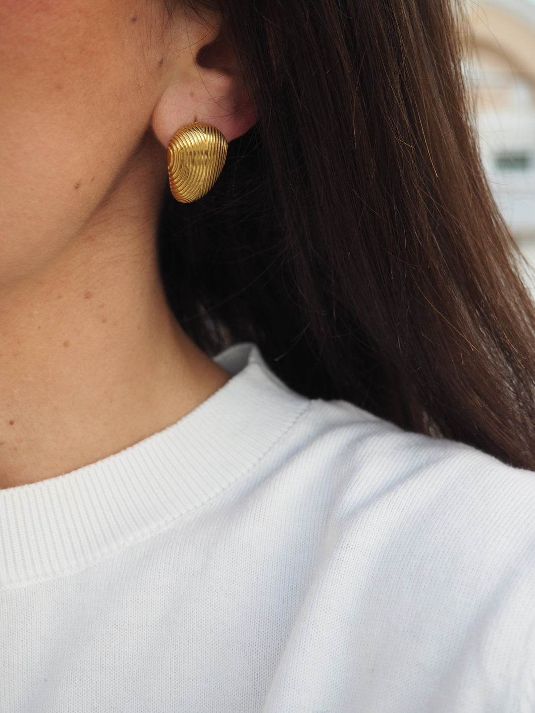 Pendientes Charlotte EDICIÓN LIMITADA · Acero 316L baño oro 18k