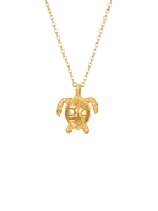 Collar Tortuga - Acero dorado 316L baño oro 18k