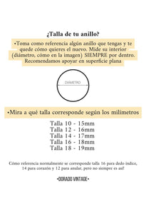 Anillo ladrillos - Acero dorado 316L baño oro 18k - Talla 10, 12, 14 y 16