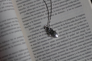 COLLAR HEART - PLATA 925